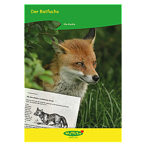 Ilka Muckle: Der Rotfuchs