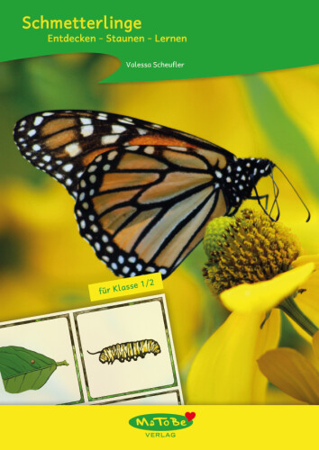 Valessa Scheufler: Schmetterlinge, Klasse 1/2