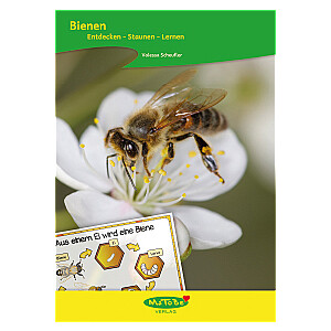 Valessa Scheufler: Bienen