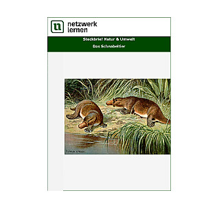 Netzwerk Lernen: Steckbrief Natur & Umwelt - Das Schnabeltier
