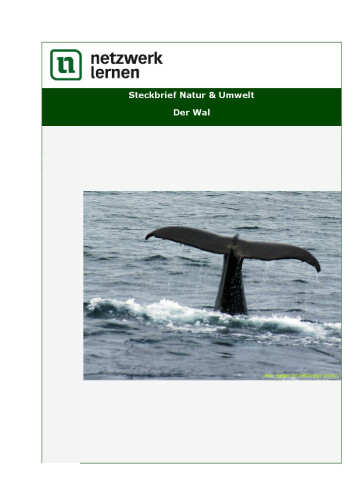Netzwerk Lernen: Steckbrief Natur & Umwelt - Der Wal
