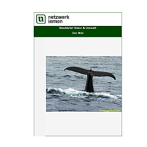 Netzwerk Lernen: Steckbrief Natur & Umwelt - Der Wal