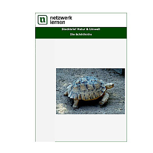 Netzwerk Lernen: Steckbrief Natur & Umwelt - Die Schildkröte