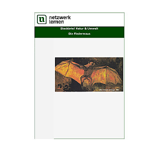 Netzwerk Lernen: Steckbrief Natur & Umwelt - Die Fledermaus