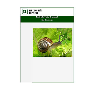 Netzwerk Lernen: Steckbrief Natur & Umwelt - Die Schnecke