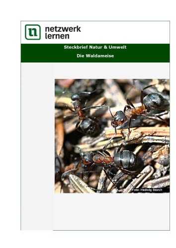 Netzwerk Lernen: Steckbrief Natur & Umwelt - Die Waldameise