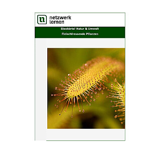 Netzwerk Lernen: Steckbrief Natur & Umwelt - Fleischfressende Pflanzen
