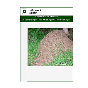 Netzwerk Lernen: Steckbrief Natur & Umwelt - Tierbehausungen - von Biberburgen und Maulwurfhügeln