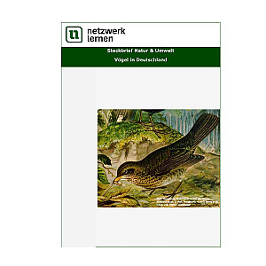 Netzwerk Lernen: Steckbrief Natur & Umwelt - Vögel in Deutschland