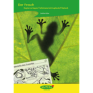 Steffen Killer: Der Frosch