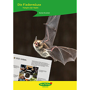 Marlen Brummel: Fledermäuse