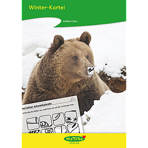 Steffen Killer: Winter-Kartei