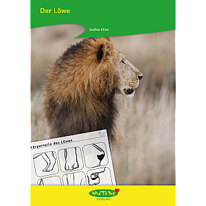 Steffen Killer: Der Löwe