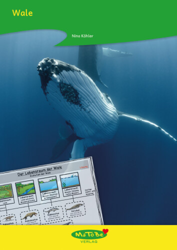 Nina Köhler: Wale
