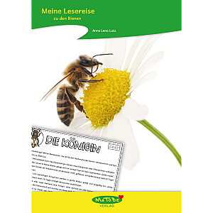 Anna Lena Lutz: Themenheft Biene