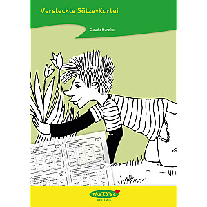 Claudia Hunziker: Versteckte Sätze-Kartei