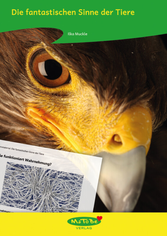 Ilka Muckle: Die fantastischen Sinne der Tiere