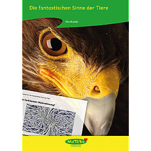 Ilka Muckle: Die fantastischen Sinne der Tiere
