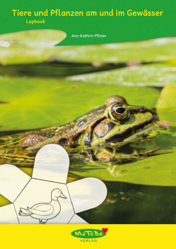 Ann-Kathrin Pfister: Lapbook Gewässer