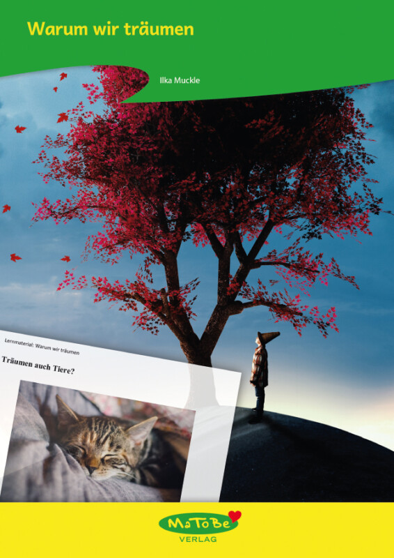 Ilka Muckle: Warum wir träumen