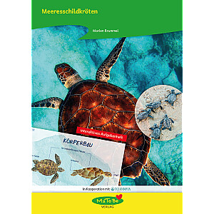 Marlen Brummel: Meeresschildkröten