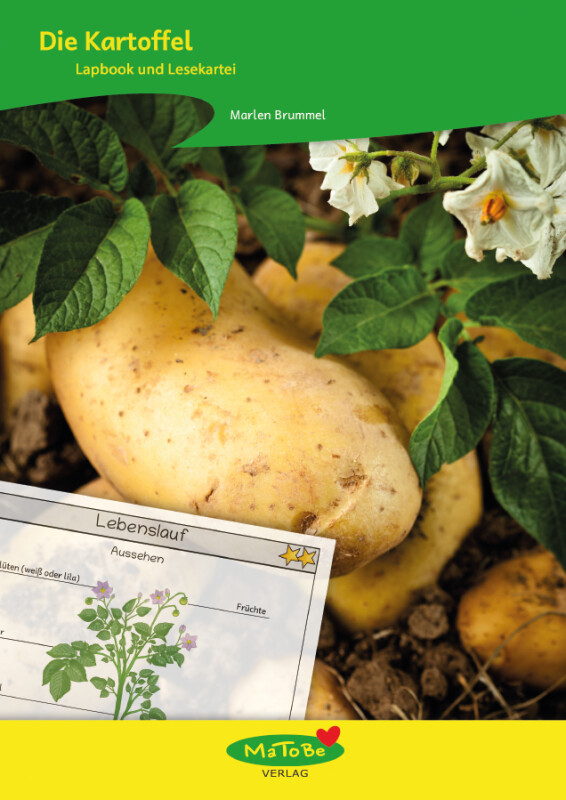 Marlen Brummel: Die Kartoffel - Lapbook und Lesekartei