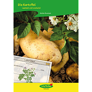 Marlen Brummel: Die Kartoffel - Lapbook und Lesekartei