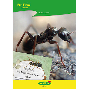 Marlen Brummel: Fun Facts - Ameisen