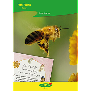Marlen Brummel: Fun Facts - Bienen