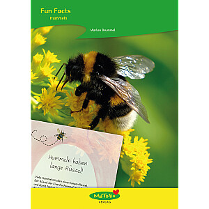 Marlen Brummel: Fun Facts - Hummeln