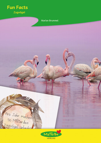 Marlen Brummel: Fun Facts - Zugvögel