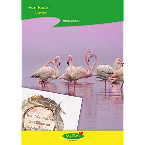 Marlen Brummel: Fun Facts - Zugvögel