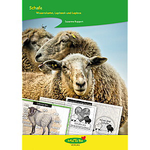 Susanne Ruppert: Schafe