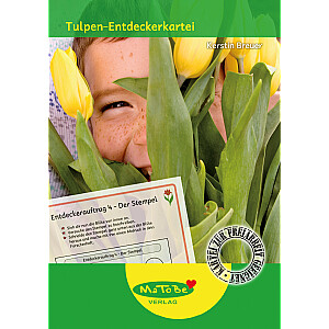 Kerstin Breuer: Tulpen-Entdeckerkartei