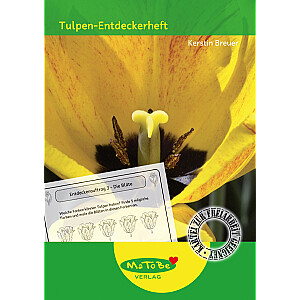 Kerstin Breuer: Tulpen-Entdeckerheft
