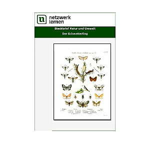 Netzwerk Lernen: Steckbrief Natur & Umwelt - Der Schmetterling