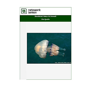Netzwerk Lernen: Steckbrief Natur & Umwelt - Die Qualle