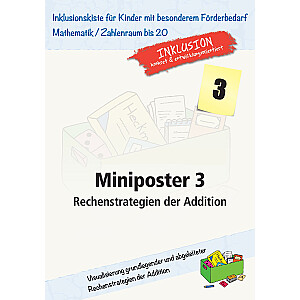 Jens Sonnenberg: Miniposter 3: Rechenstrategien der Addition