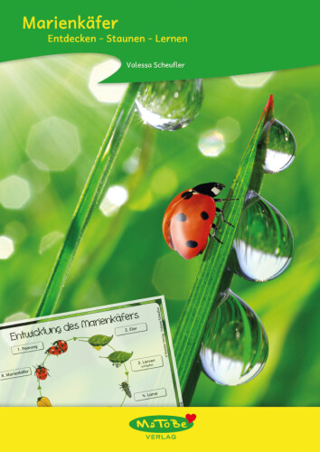 Valessa Scheufler: Marienkäfer