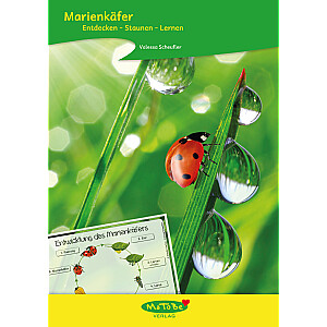Valessa Scheufler: Marienkäfer