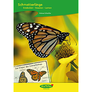 Valessa Scheufler: Schmetterlinge