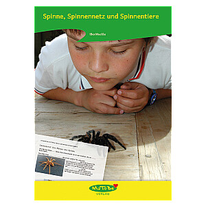 Ilka Muckle: Spinne, Spinnennetz und Spinnentiere