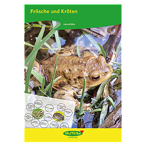 Jutta Kühle: Frösche und Kröten