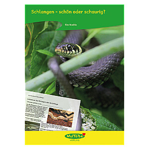 Ilka Muckle: Schlangen - schön oder schaurig?