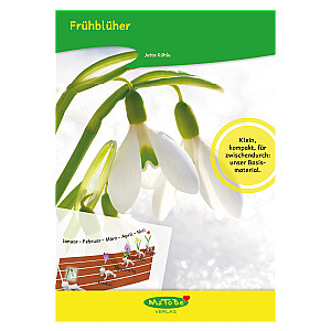 Jutta Kühle: Frühblüher