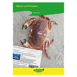 Ilka Muckle: Meere und Ozeane