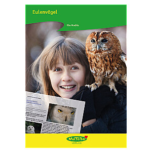 Ilka Muckle: Eulenvögel